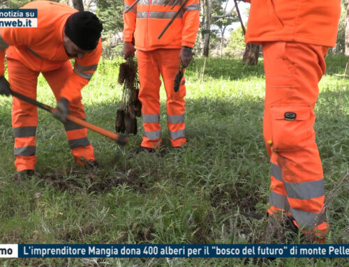 Palermo – L’imprenditore Mangia dona 400 alberi per il “bosco del futuro” di monte Pellegrino